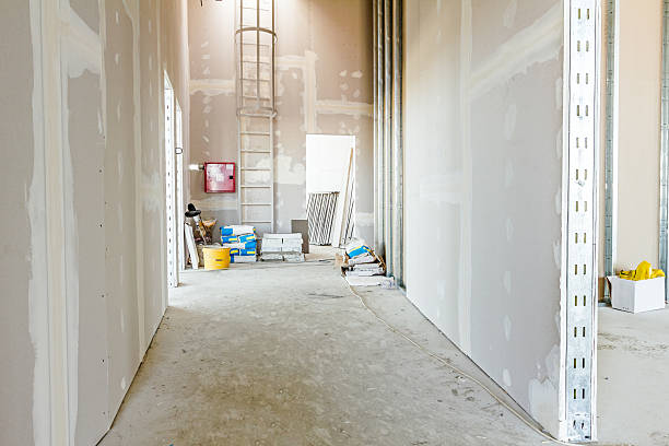 Best Drywall Sanding and Smoothing  in Lula, GA